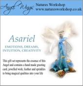 Asariel Box Set image 1