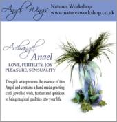 Anael Box Set image 1